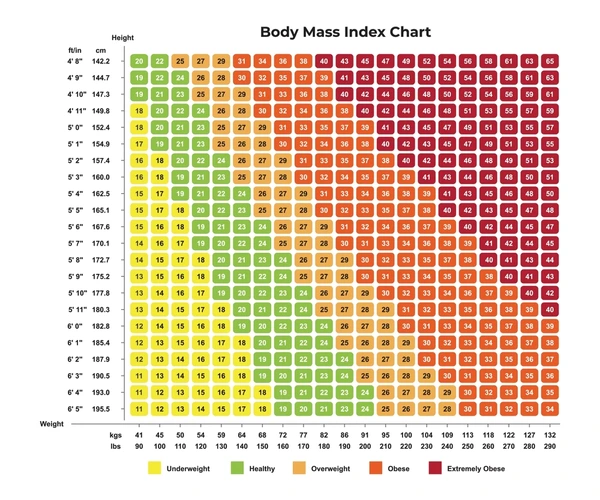 BMI chart showing healthy, overweight and obesity ranges.